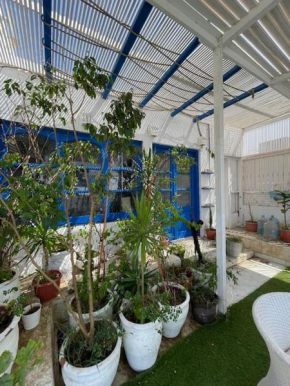 Roof Apartment with Patio in Maadi
